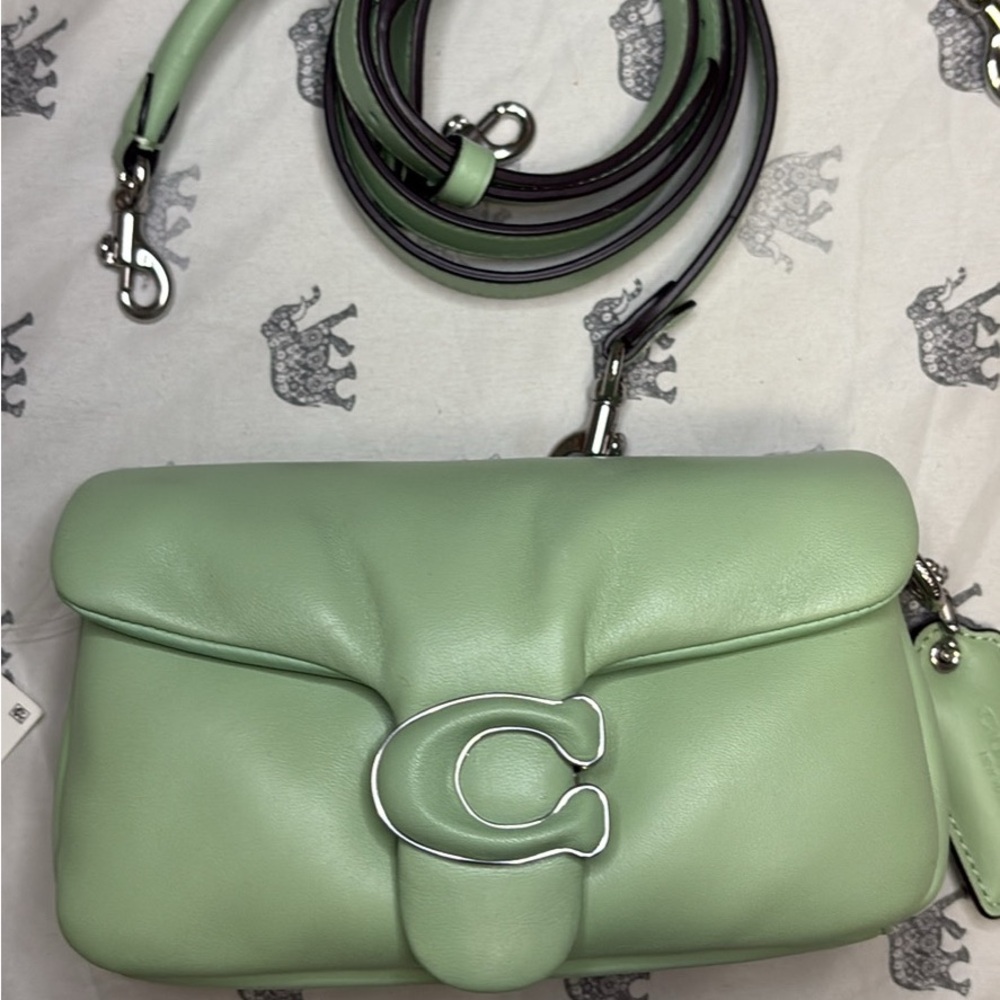 NWT coach pillow tabby
